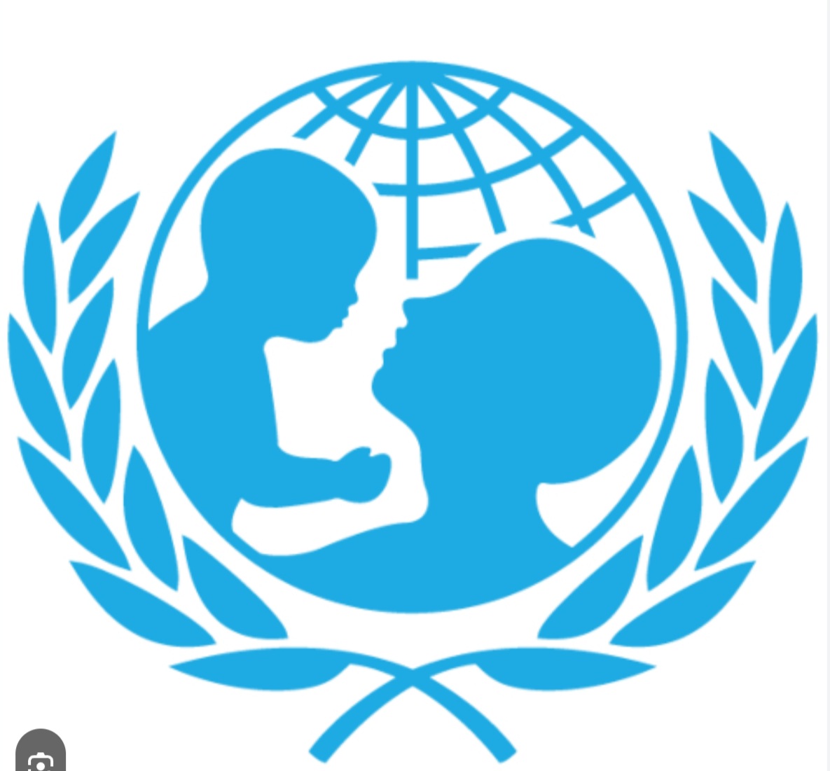 UNICEF logo 20250125 045329